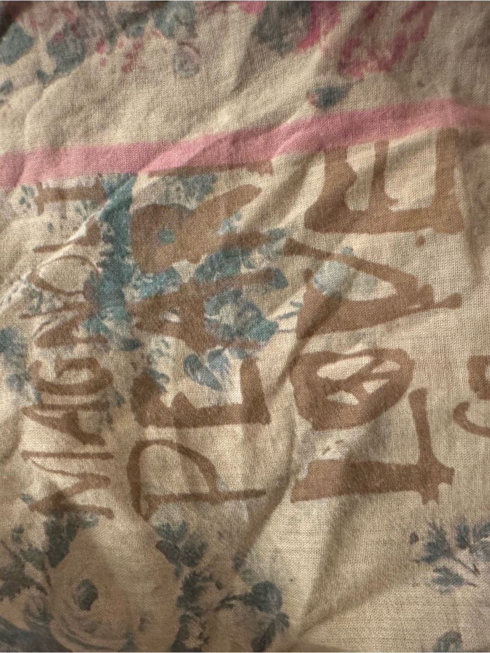 Magnolia Pearl Cream Scarf with Blue Floral Motif and Pink Edge - Picture 5 of 5